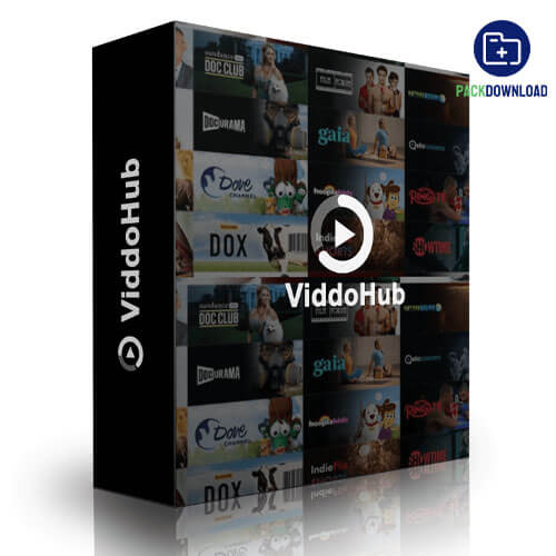 Viddohub
