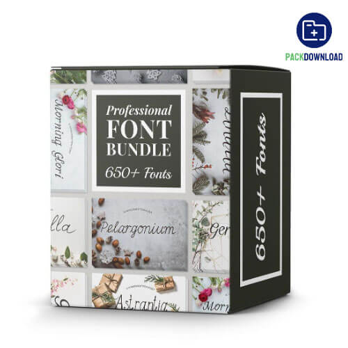 650 Professional Font Bundle