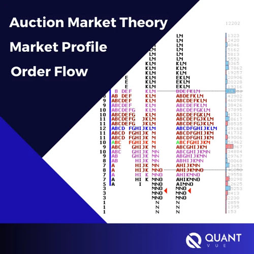 QuantVue – Introduction To Auction Market Theory, Market Profile & Order Flow