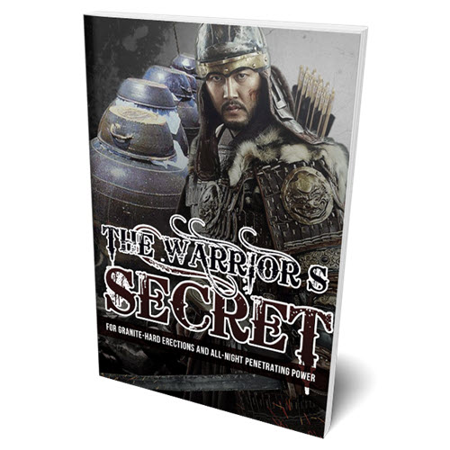 The Warrior's Secret